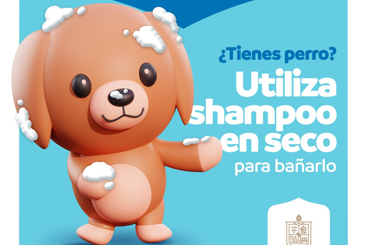 Foto: Facebook/ @El Gobierno de Nuevo León | Gobierno de Nuevo León pide bañar a los perritos con shampoo en seco para ahorrar agua