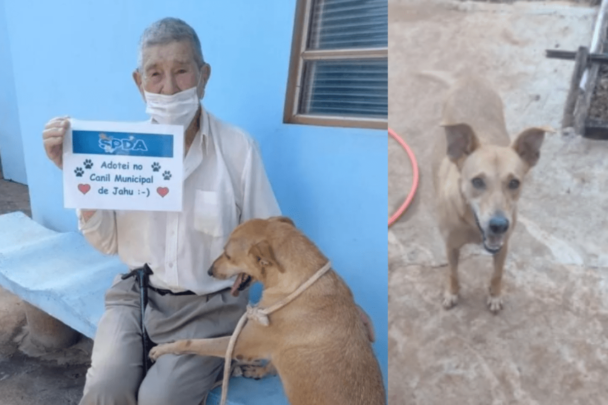 Foto: João Aparecido dos Santos Reinato | ¡Amigos para siempre! Abuelito de 90 años adopta a “Mila” una perrita sin hogar