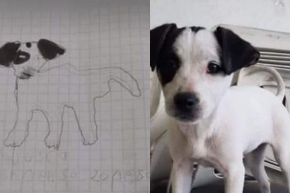 Foto:Redes sociales|¡Awww! Niñas buscan a su perrito con dibujo y 20 pesos