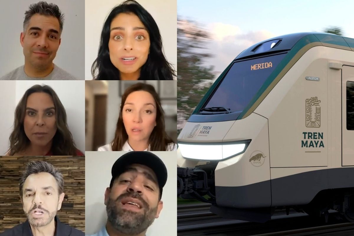 Queremos que se cumpla la ley: Sélvame del Tren lanza nuevo video en contra  de la construcción de Tramo 5 del Tren Maya