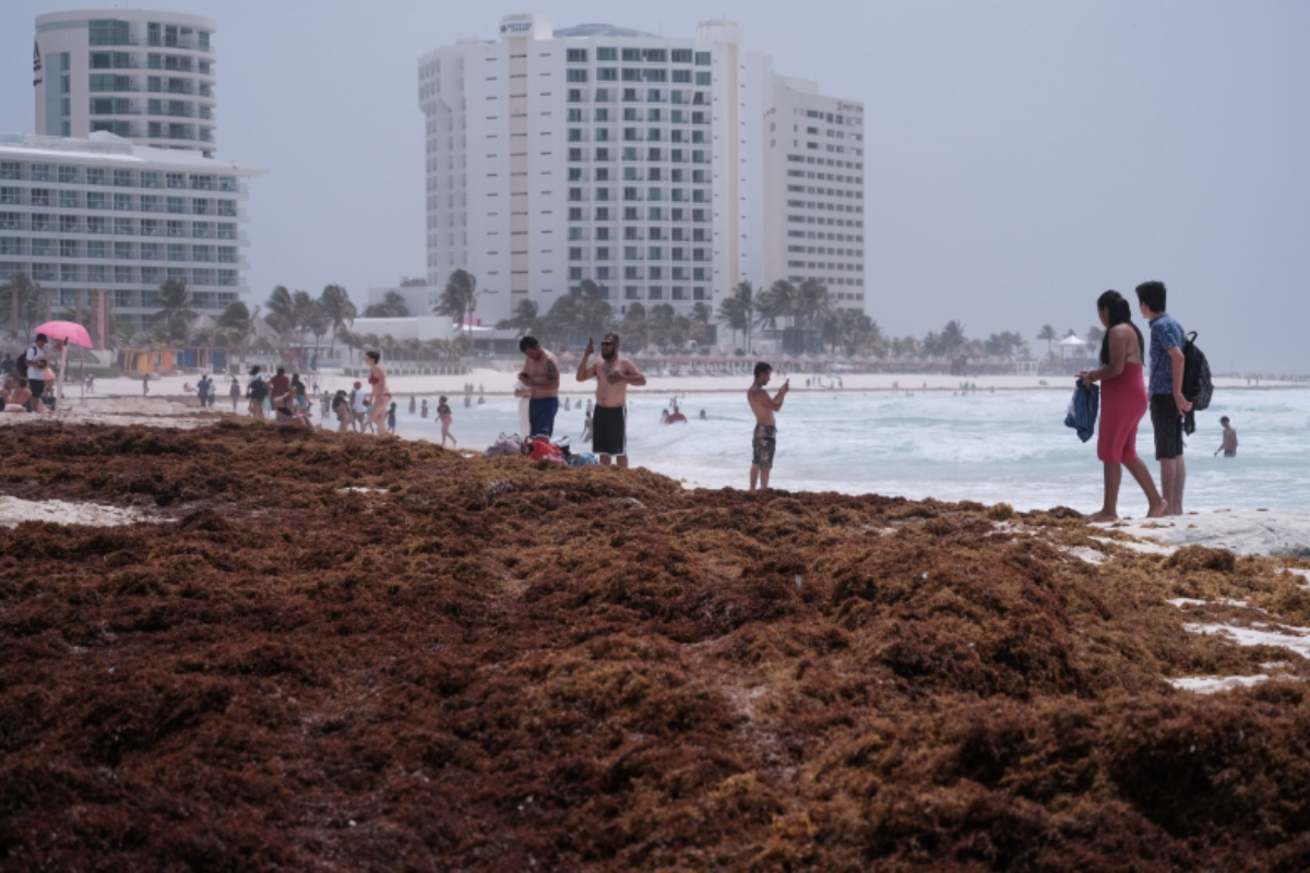 Sargazo en playas de Quintana Roo.