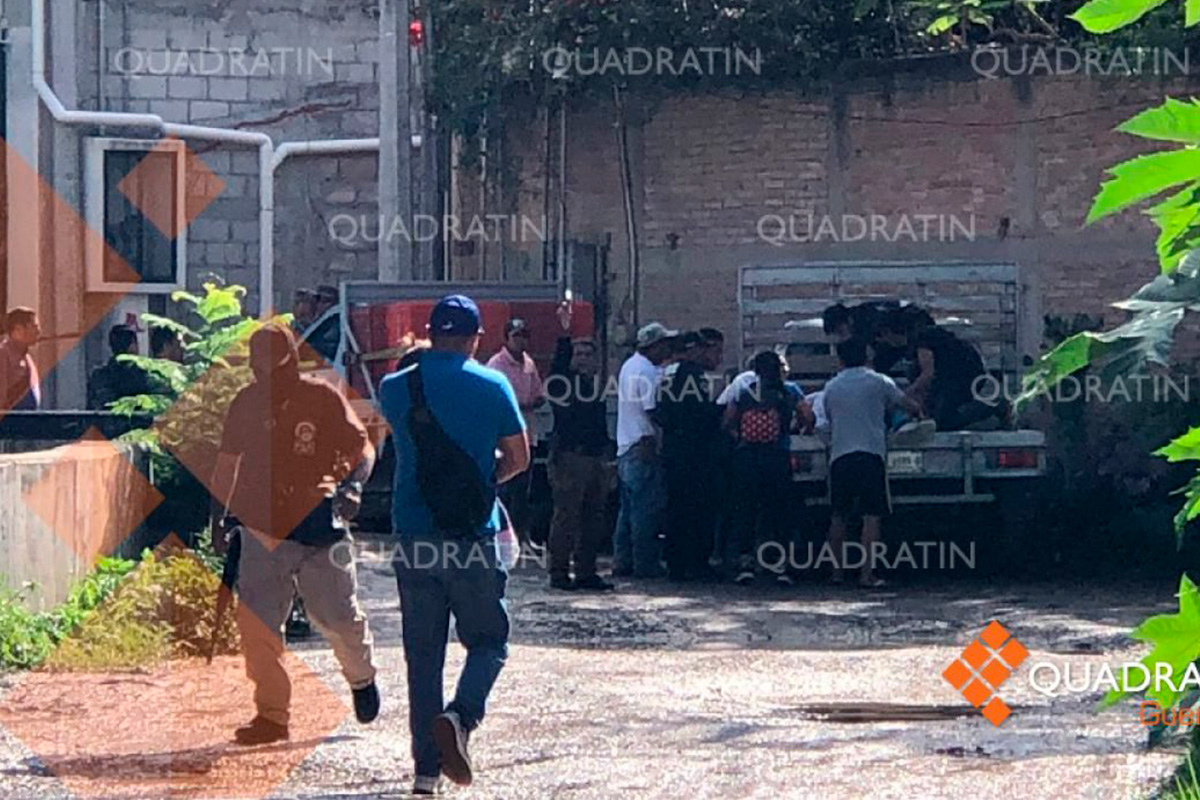 Ataque a granja de pollos en Guerrero deja 5 muertos