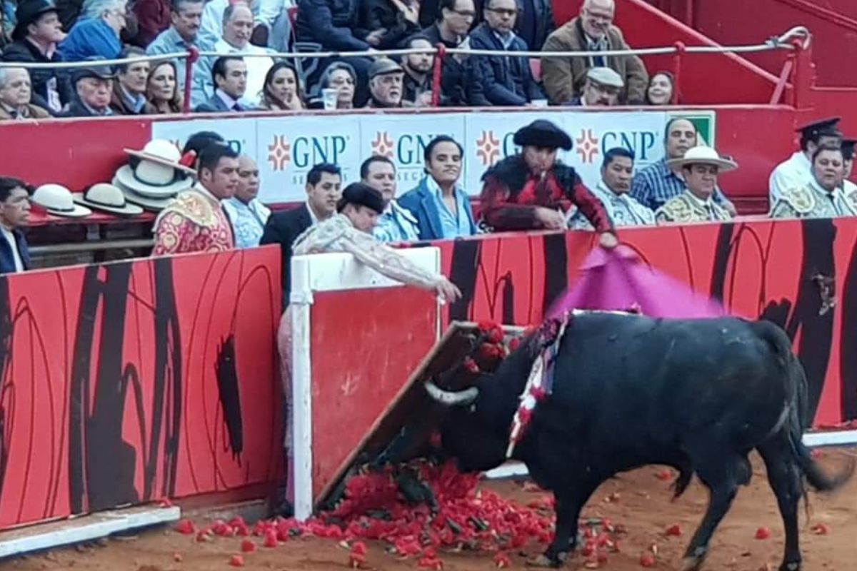 Foto:Foto:Twitter/@MyRyCaR|Juez suspende indefinidamente las corridas de toros en mayor plaza de México