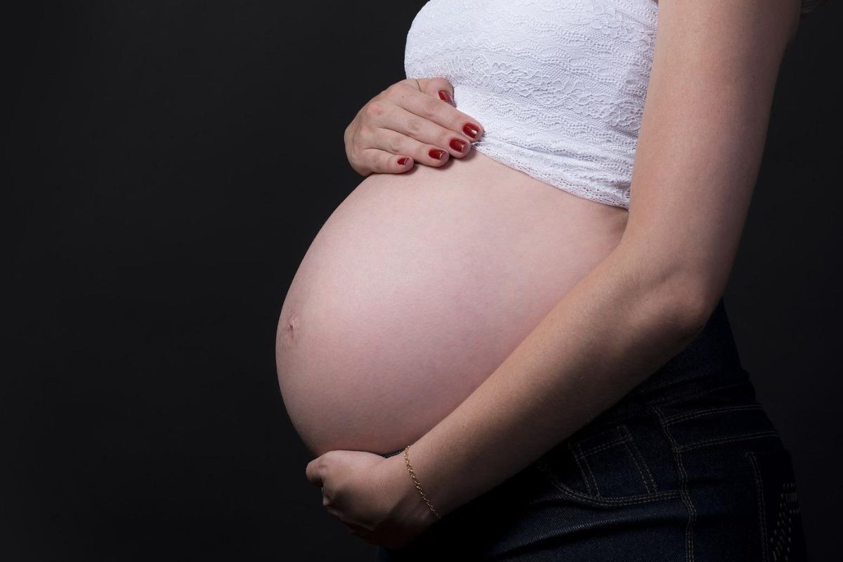 Foto:Pixabay|¡Asombroso! Mujer dará a luz a 13 bebés; tendrá 19 hijos en total