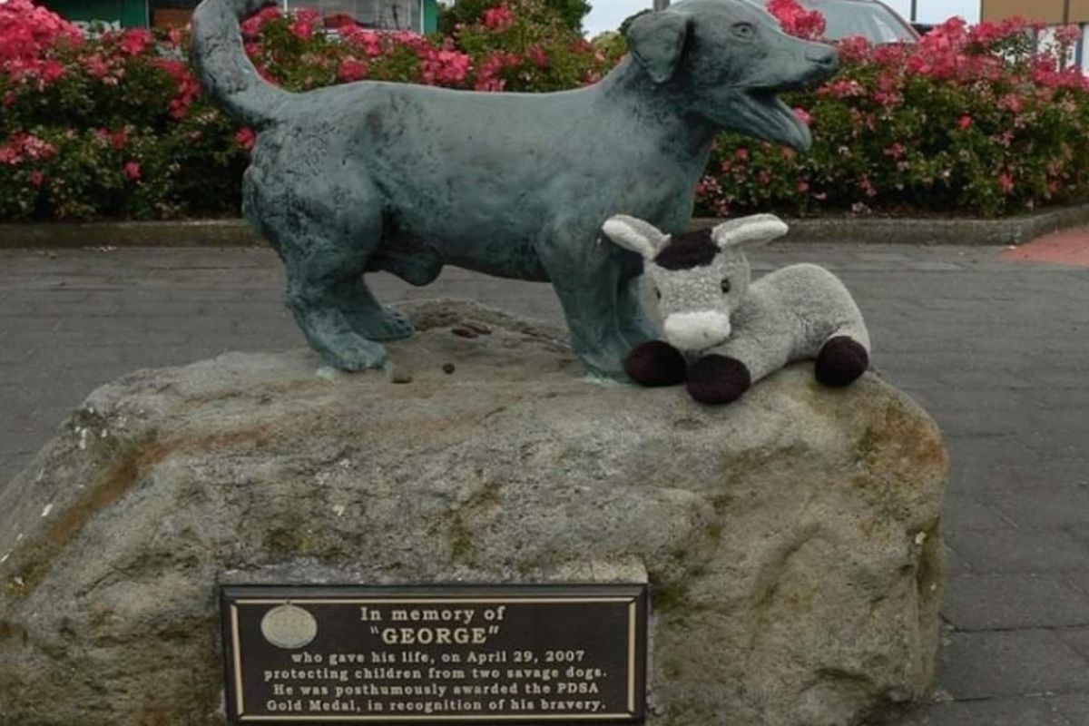 Foto:Twitter/@LaRizos03|Esta es la estatua del perrito que murió por defender a niños de Pitbulls