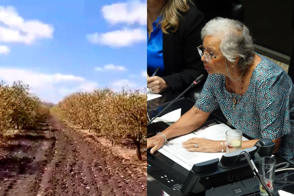 Foto:Cuartoscuro|“¡No vendemos agua a empresas!” Olga Sánchez defiende sus concesiones de agua en Nuevo León