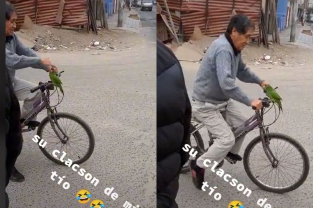 Foto:Captura de pantalla|Video: Abuelito utiliza a su loro como claxon para su bicicleta