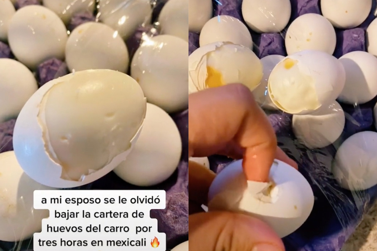 VIDEO. Altas temperaturas cocinan charola de huevos en Mexicali