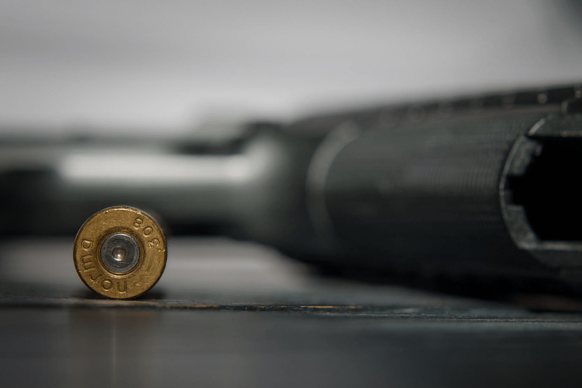 Foto: Pixabay | En EU un niño juega con el arma de su padre y mata a bebé de un año