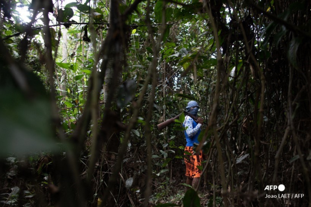 Foto: AFP | Qué se sabe de la desaparición de reportero británico y experto en Amazonía