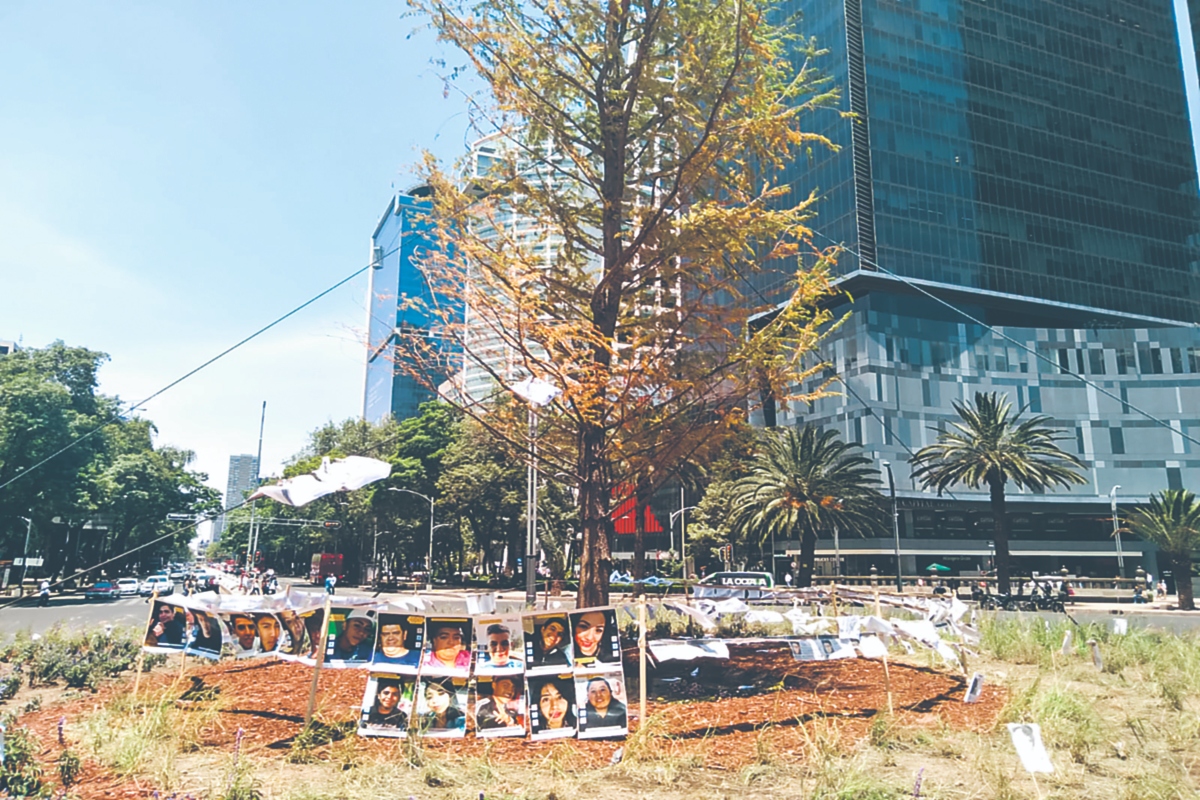 El ahuehuete que se plantó hace unos días en Reforma "no esta muriendo", está en proceso de adaptación