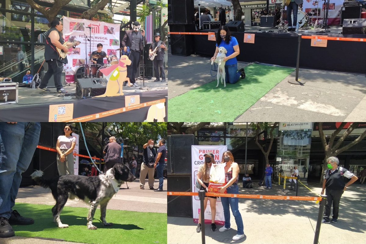En representación de varios perritos al evento asistieron Aragón y Peñoncito dos peludos que fueron encontrados en diferentes estaciones del metro