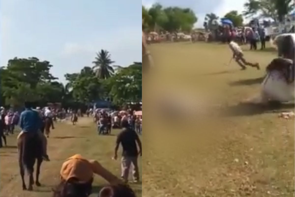 Foto:Captura de pantalla|¡Tragedia! Muere hombre en carrera de caballos tras ser impactado por uno