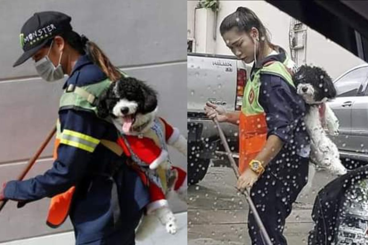 Foto:Facebook/Wilson Hernández|¡Hermoso! Barrendera trabaja cargando a su perrito en la espalda