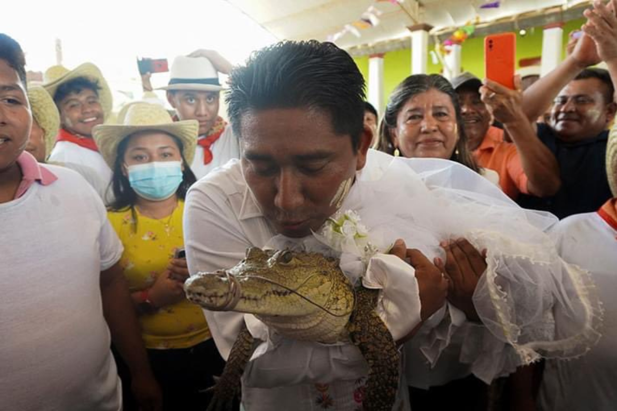 Foto: Twitter/ @franfuentessv | Un alcalde de Oaxaca se casó… con un caimán, te contamos por qué