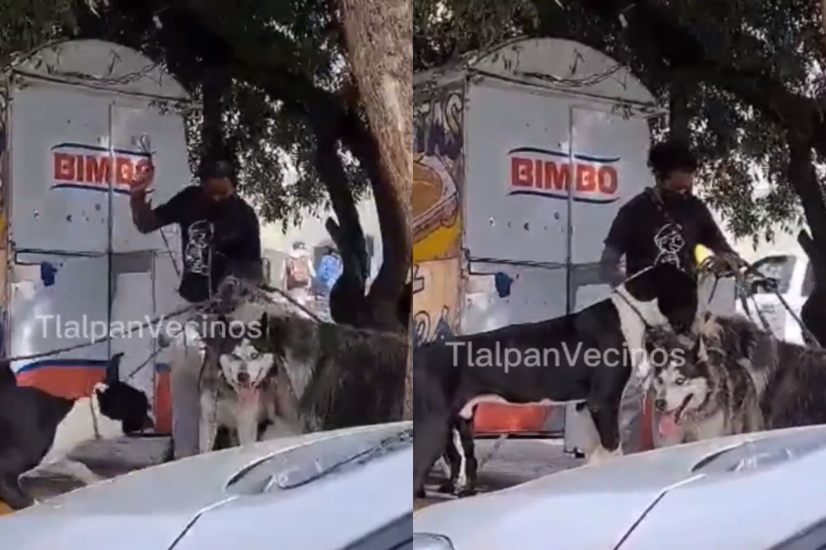 Foto:Captura de pantalla|¡Indignante! Vecinos denuncian a paseador de perros por golpearlos