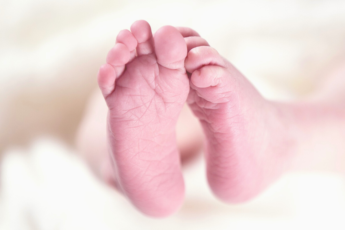 Foto: Pixabay | Modifican en Comisiones Código Civil Federal para el registro de recién nacidos