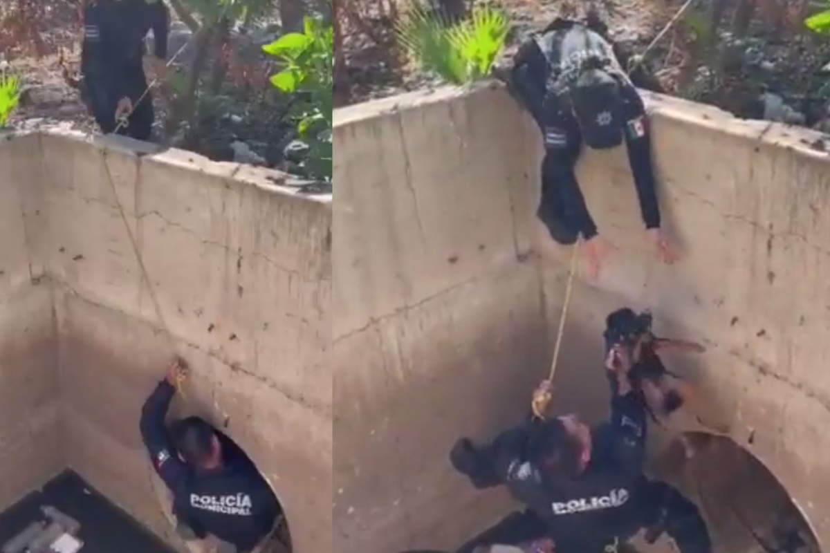 Foto: Twitter/ @SSPyTM_Culiacan | VIDEO: Policías de Culiacán rescatan a perrito que llevaba días en el drenaje
