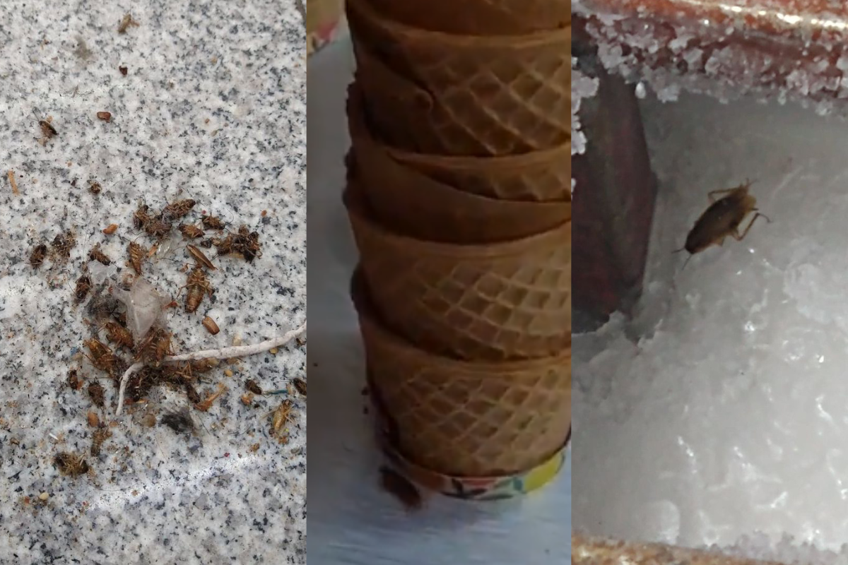 Foto: Twitter/ @patys_fuckworld | ¿Bichoacana? Denuncian paletería “La Gran Michoacana” por conos, toppings y helado con ¡cucarachas!