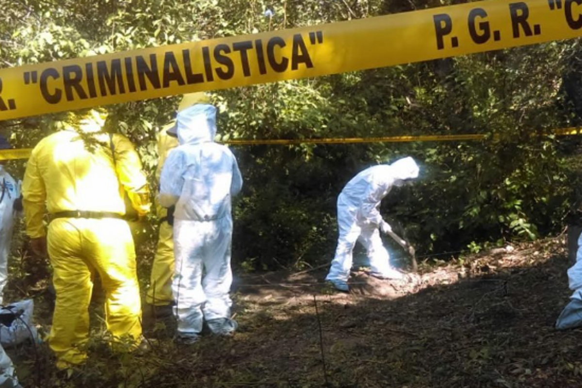 La Fiscalía de Michoacán reportó el hallazgo de 11 cuerpos sin vida en una huerta de aguacate en Uruapan