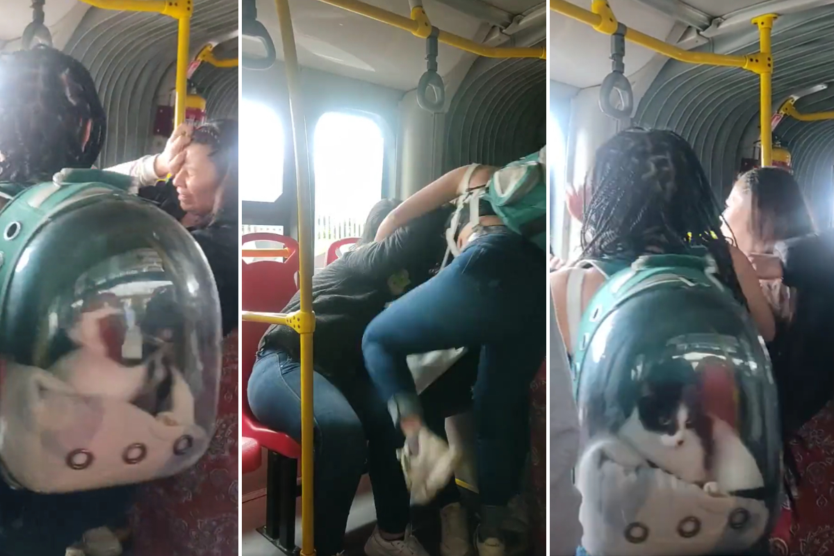 Con todo y gatito, mujeres protagonizan pelea por asiento en camión.