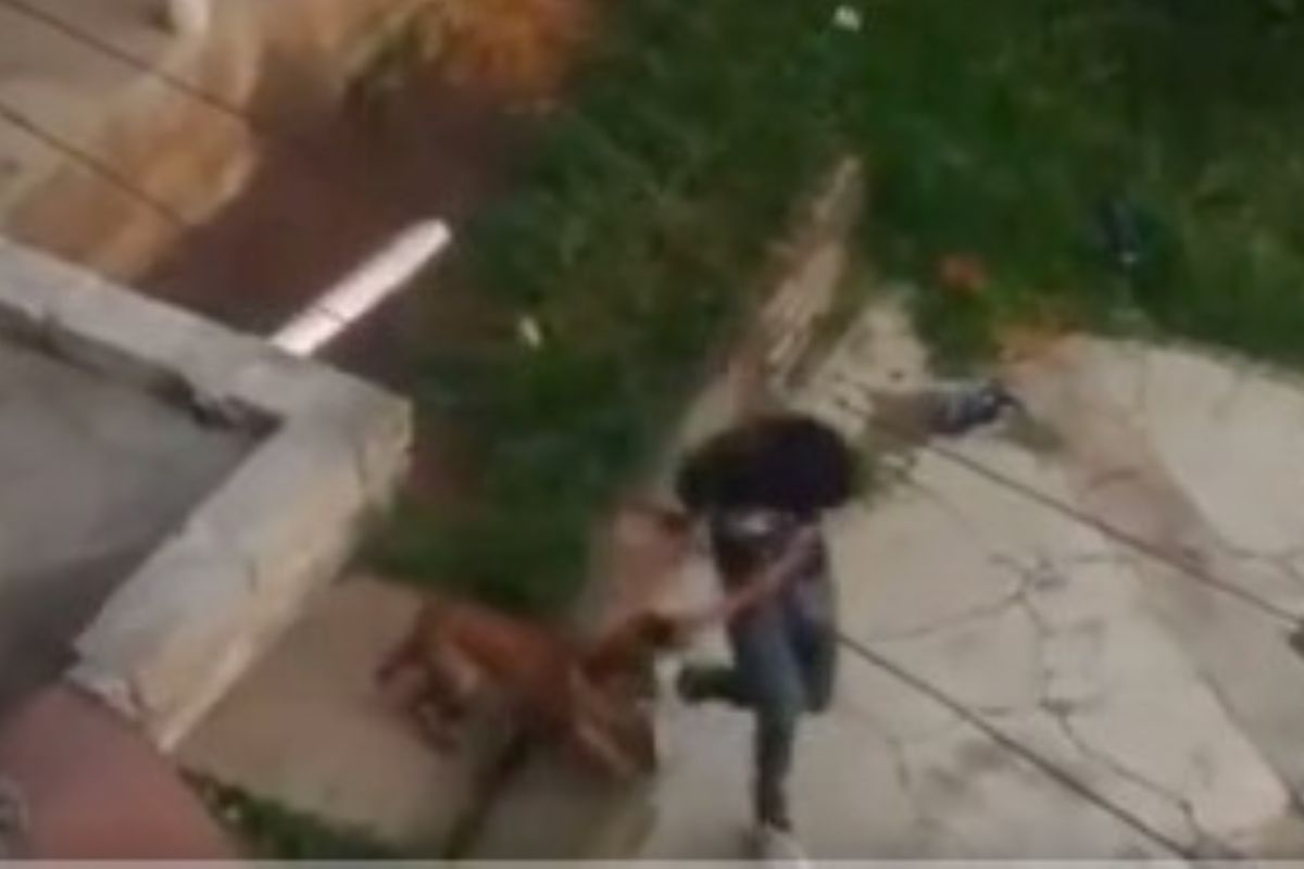 Foto:Captura de pantalla|¡Imágenes fuertes! Exhiben a sujeto maltratando a un perrito en su patio