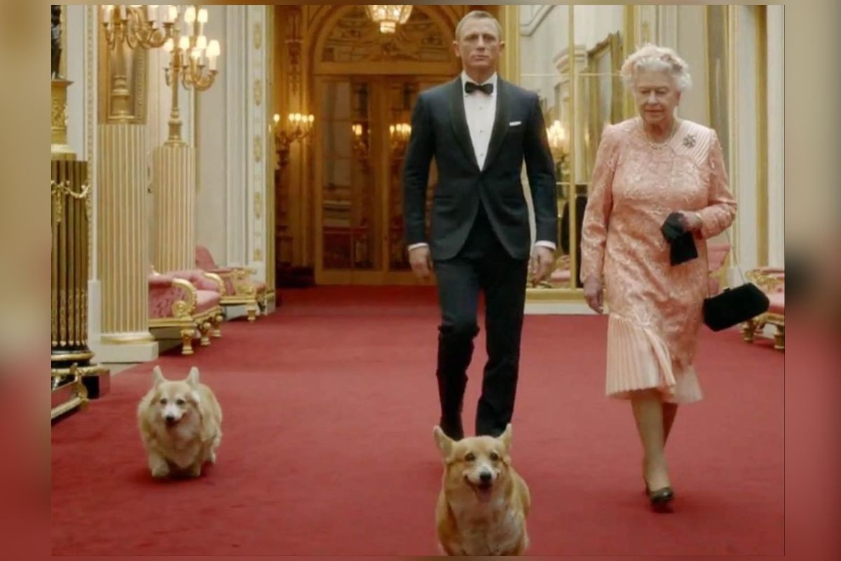 Foto:Twitter/@LaBola_Bulldogs|¿Qué sucederá? Esto es lo que pasará con los perritos Corgis de la reina Isabel II