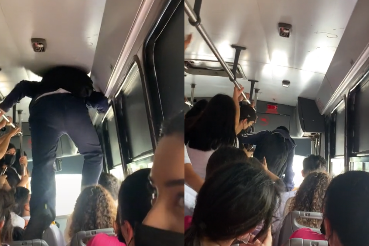 Foto: TikTok / @viiicluna | ¡¡Bajan!! Hombre camina sobre respaldo de asientos para descender de microbús