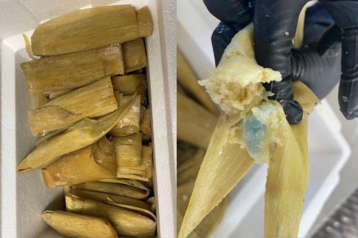 Foto:US Customs and Border Protection Port of Nogales|Encuentran más de 2 mil pastillas de fentanilo dentro de tamales; hay un detenido
