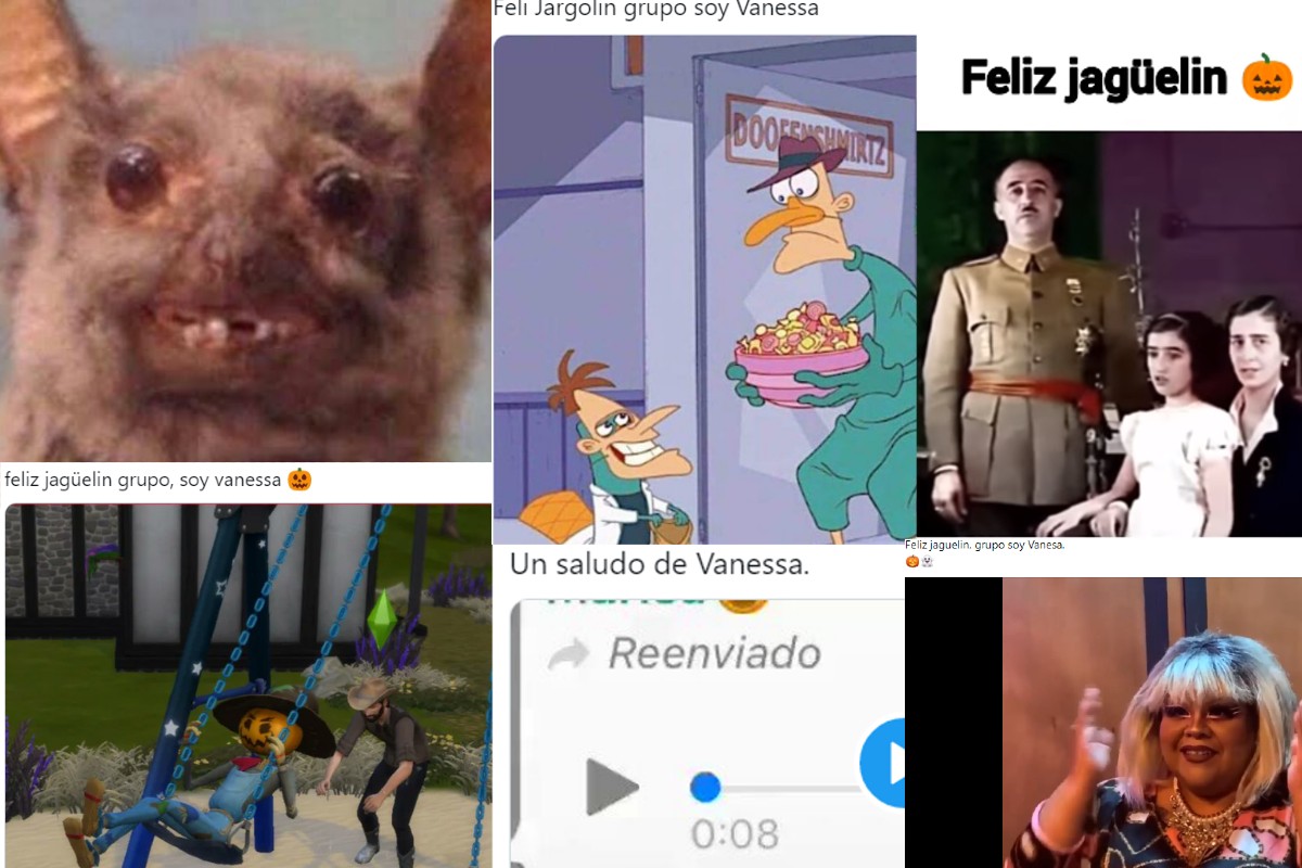 Estos son los mejores memes con los que internautas recuerdan el audio viral de "Feliz Jagüelin" de Vanessa