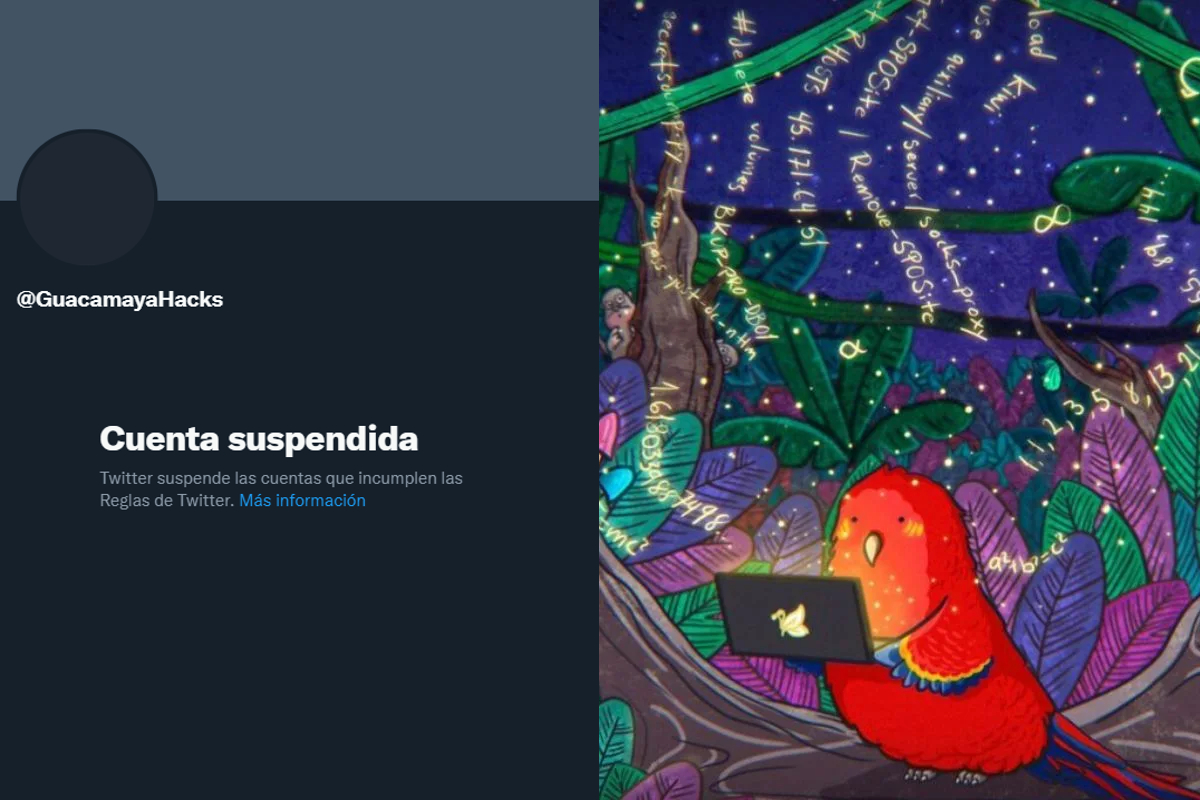 Suspenden cuenta apócrifa de Guacamaya en Twitter.