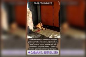 Denuncian a dueño de un restaurante del Ajusco, por golpear a un perro