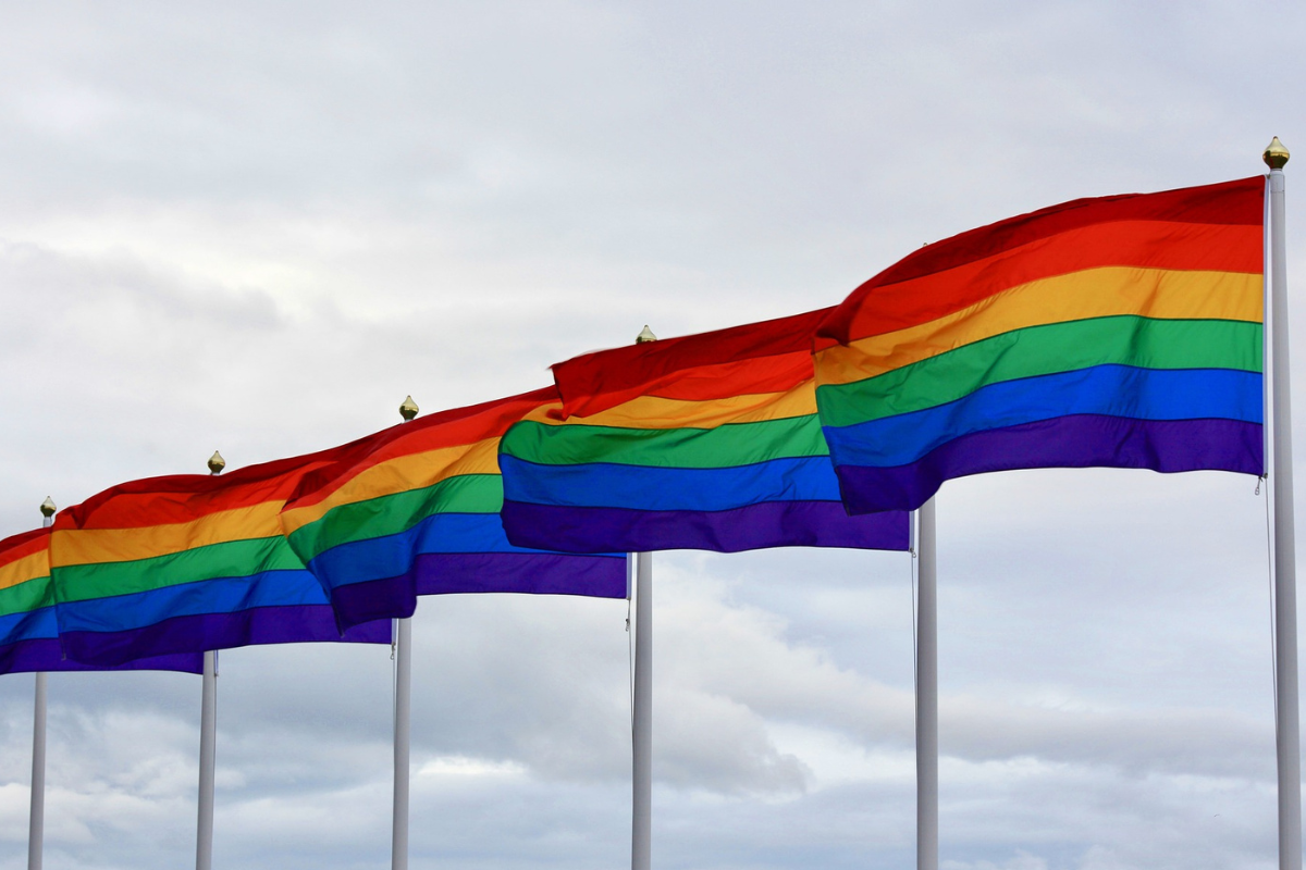 Foto: Pixabay | Con partido simbólico piden a la FIFA proteger a la comunidad LGBTIQ+ en Qatar 