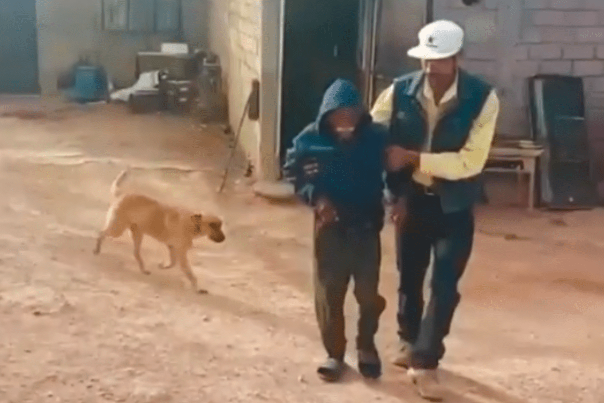 Foto:Captura de pantalla|¡Increíble! El perrito “Palomo” encuentra a su dueño tras tener días extraviado