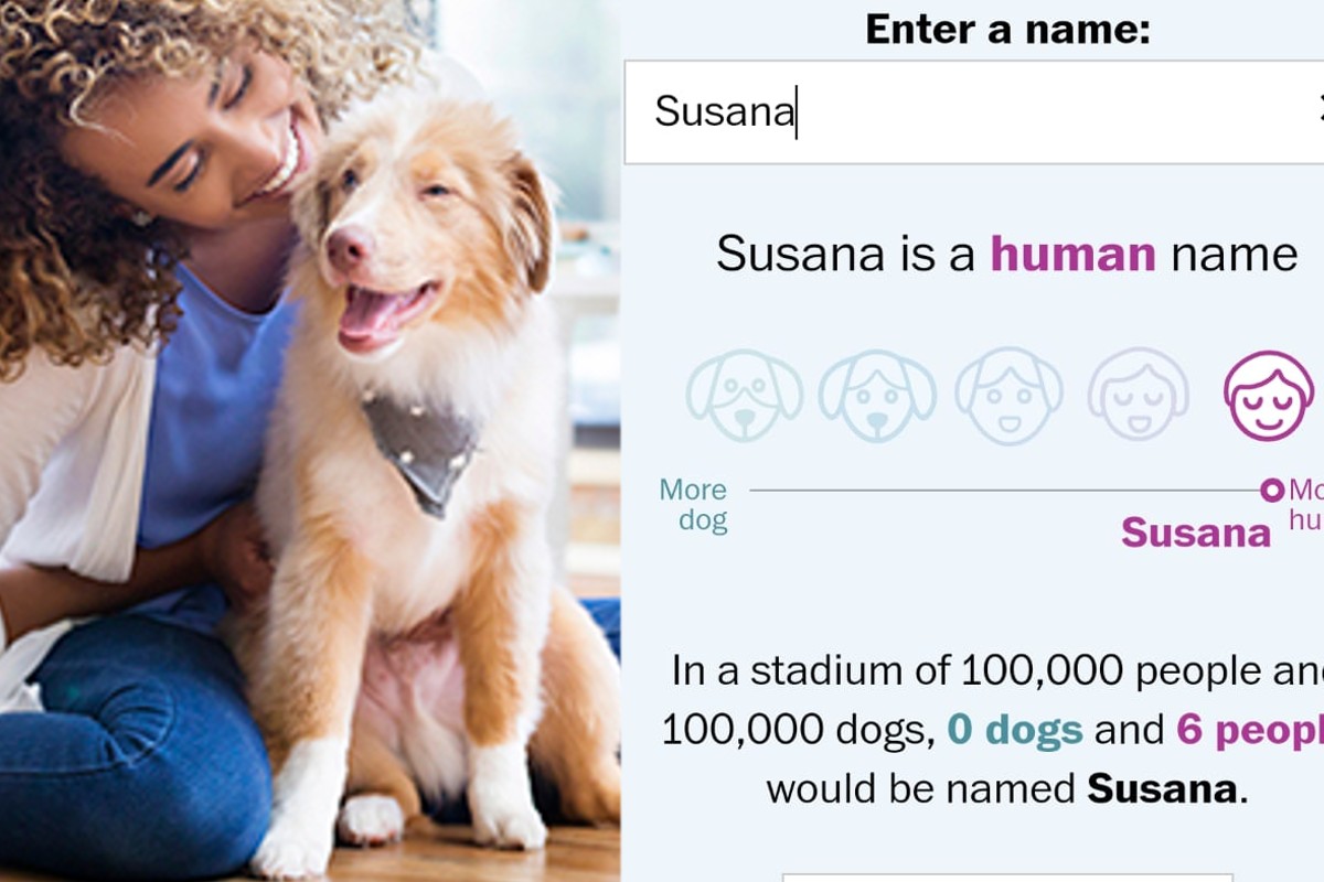 El refugio de animales "Petfinder" lanzó una app para conocer si tienes nombre de perro o humano