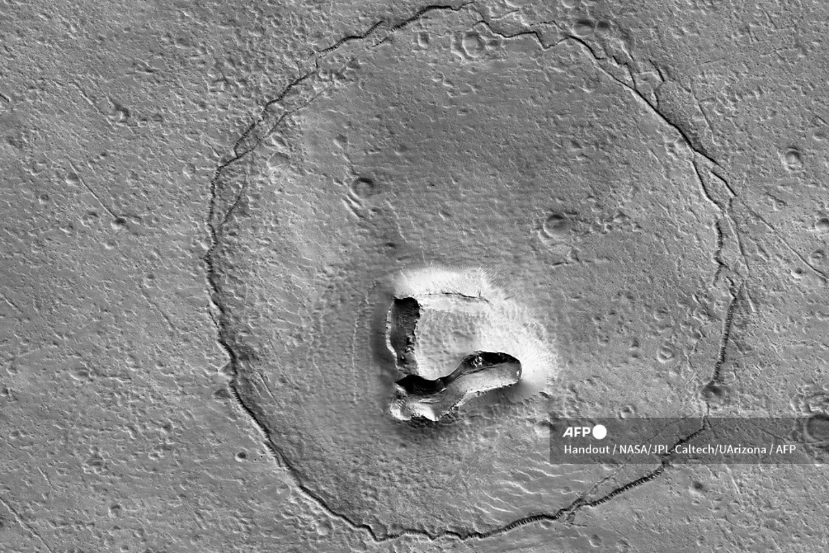 AFP | Científicos explican la curiosa foto de un oso en Marte.