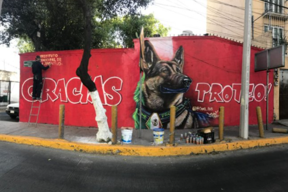 Foto:Twitter/@IMJTlalne|¡Héroe! Hacen mural en honor a el perro rescatista “Proteo” en Tlalnepantla