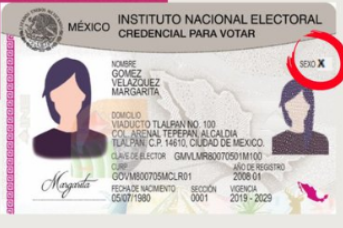 Foto:Twitter/@CiroMurayamaINE|¡Atención! INE expedirá credenciales para votar no binarias