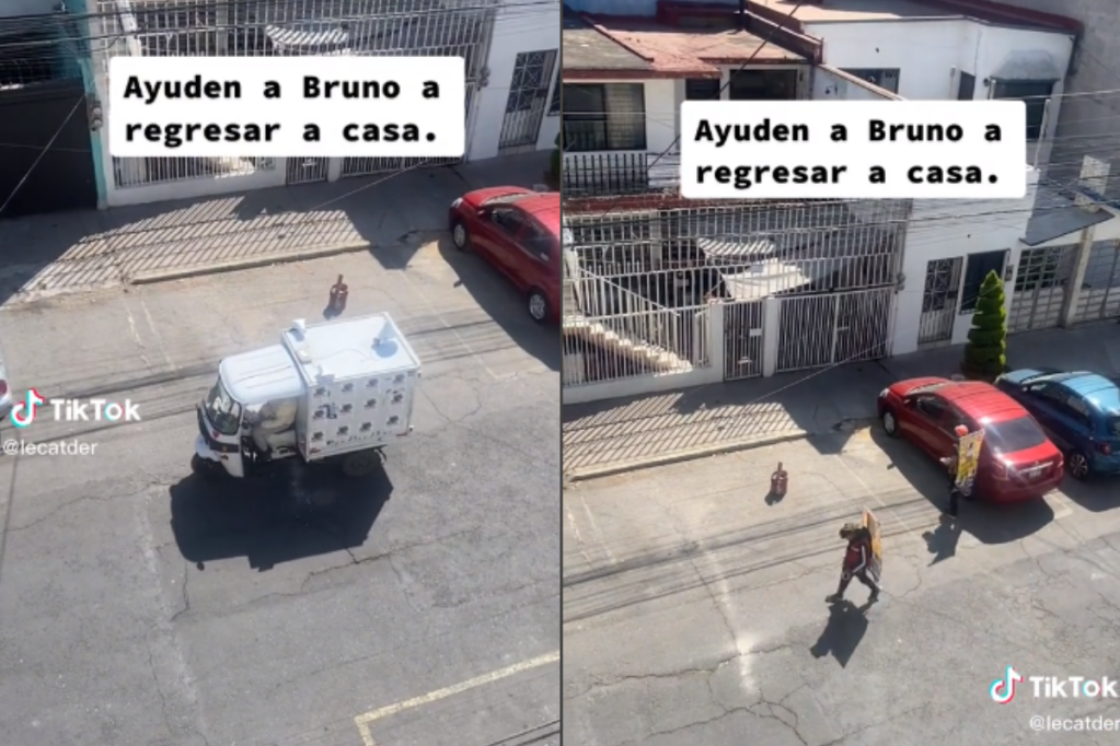 Foto:Captura de pantalla|“A comer Bruno” Con megáfono y coche familia busca a su perrito