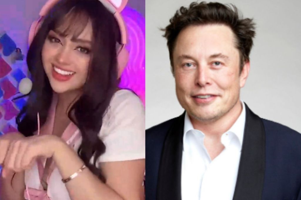 Elon Musk causó revuelo en Twitter tras su reacción al baile Kitty Kraken de la streamer regia, Ari Gameplays