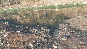 Agua contaminada, desabasto y abuso enferman a Choix. Noticias en tiempo real
