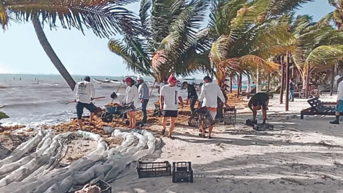 A diez días de iniciar la temporada vacacional de Semana Santa, las playas de Quintana Roo muestran presencia de sargazo