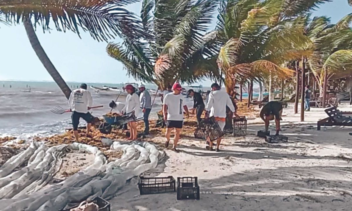 A diez días de iniciar la temporada vacacional de Semana Santa, las playas de Quintana Roo muestran presencia de sargazo