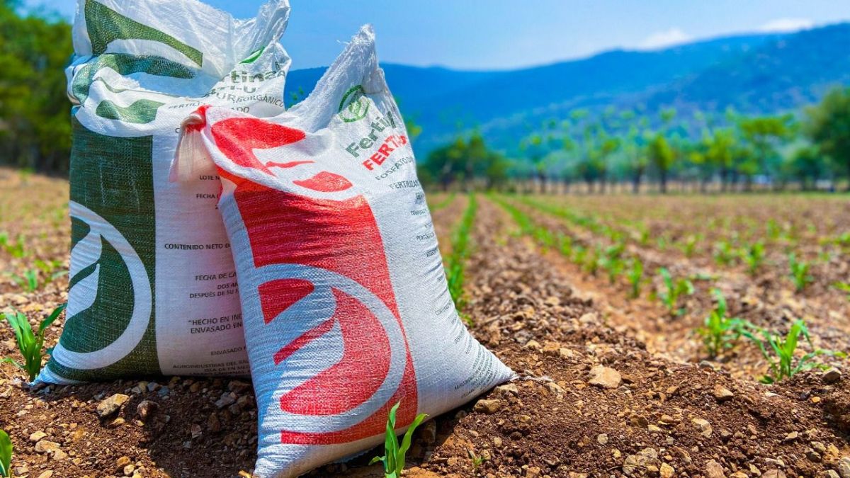 En los siguientes días comenzará el suministro de fertilizantes para beneficiar a cerca de 63 mil productores