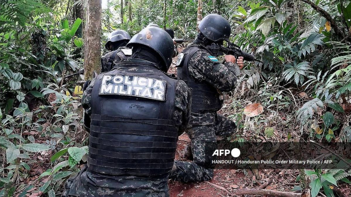 Autoridades localizaron una plantación de coca de 88 hectáreas y un laboratorio para fabricar cocaína en el centro del país