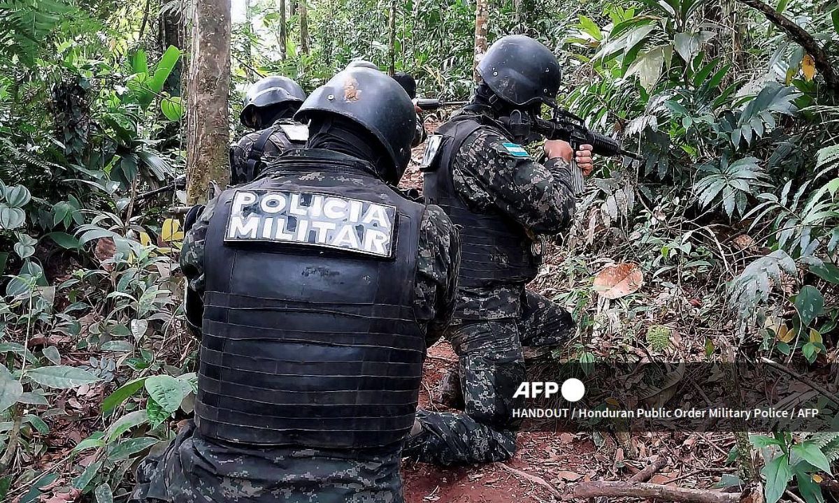 Autoridades localizaron una plantación de coca de 88 hectáreas y un laboratorio para fabricar cocaína en el centro del país