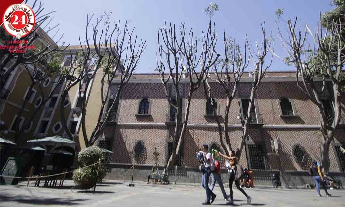 Autoridades de Puebla capital otorgaron permisos para la poda de árboles en la Plaza de la Democracia; no quedó ni uno
