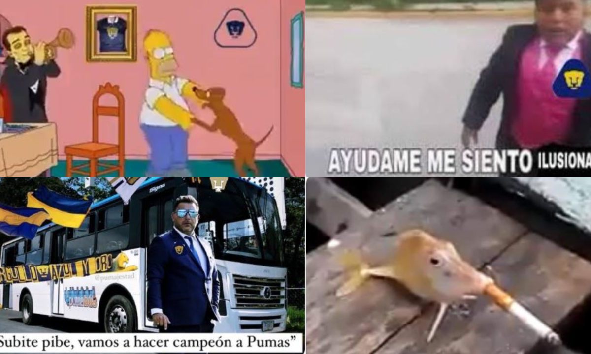 Pumas-Mohamed-memes