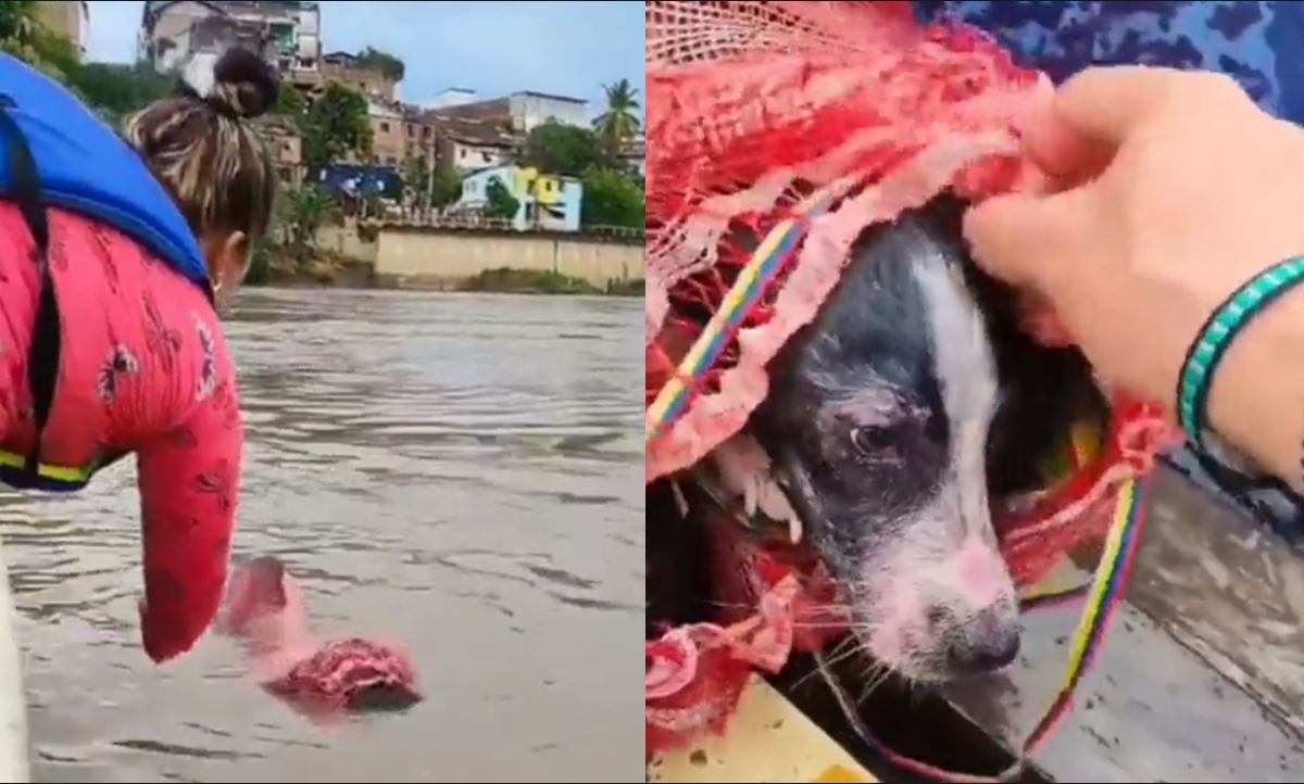 Rescatan a perrito arrojado a río en un costal.