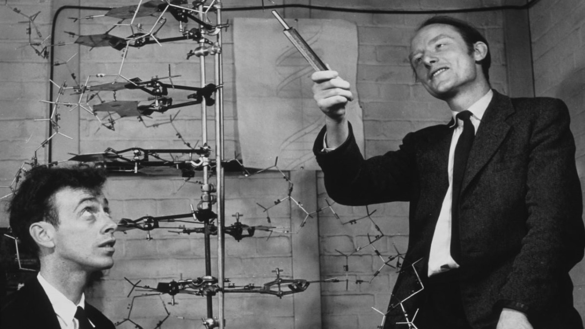 James Watson y Francis Crick ganaron el Premio Nobel de Medicina por su descubrimiento de la doble hélice del ADN